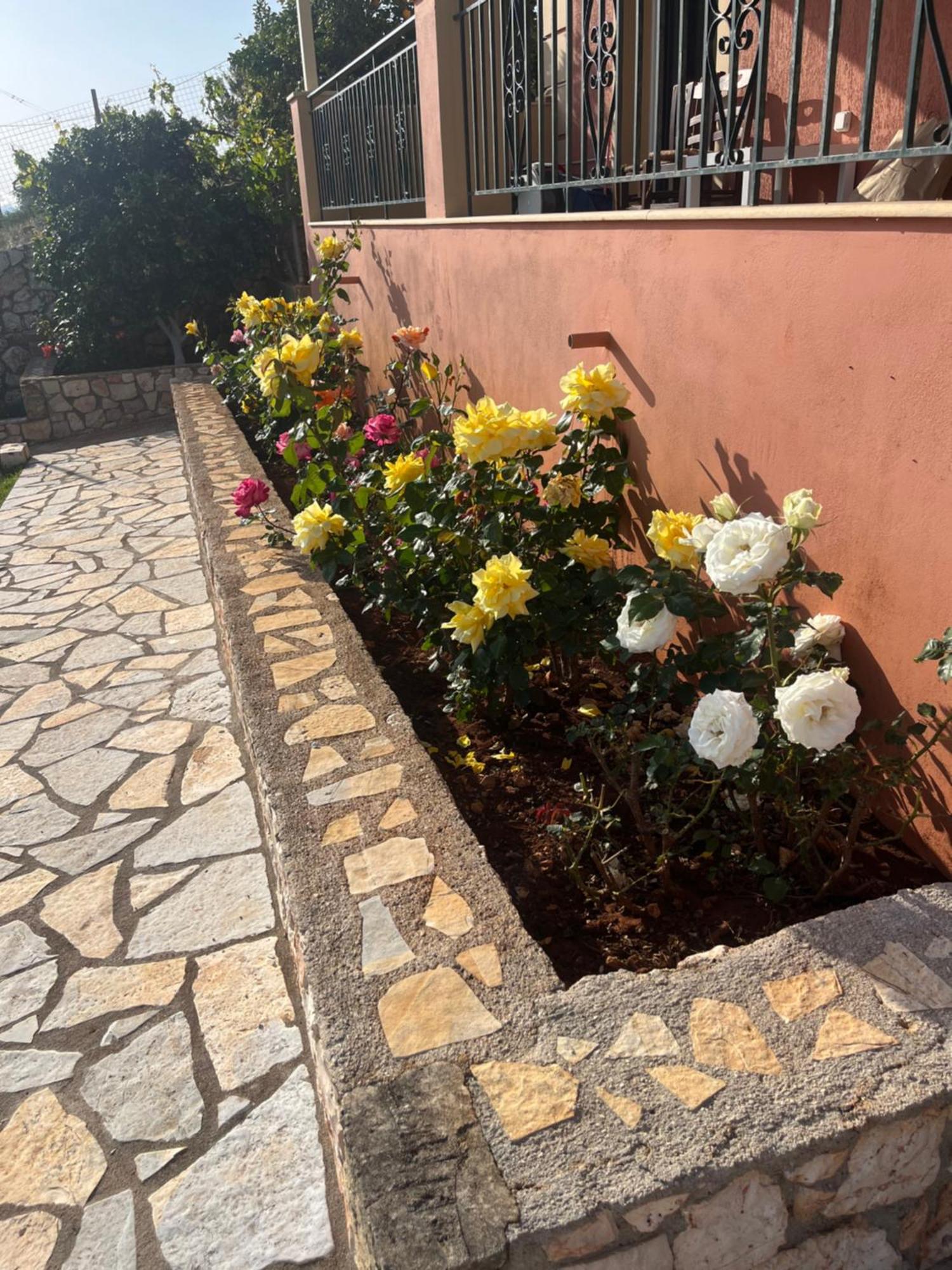 La Casa Di Lena Daire Argostolion Dış mekan fotoğraf